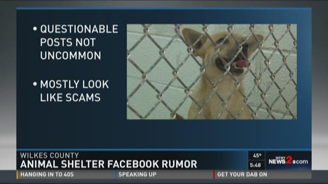 Animal Shelter Putting Down All Animals? It's a Rumor 