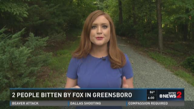 Woman Puts Rabid Fox In Chokehold After It Attacked Her | wfmynews2.com